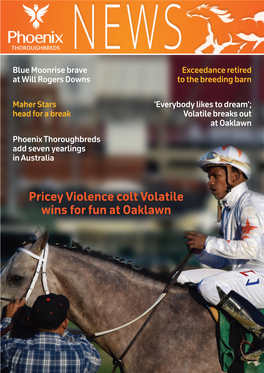 Pricey Violence Colt Volatile Wins for Fun at Oaklawn WINNERS Pricey Violence Colt Volatile Wins for Fun at Oaklawn (Thoroughbreddailynews.Com)