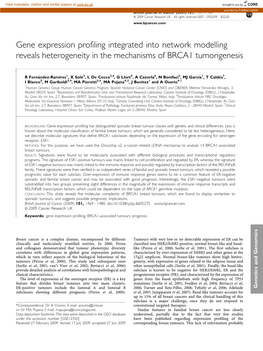 Gene Expression Profiling Integrated Into Network Modelling Reveals Heterogeneity in the Mechanisms of BRCA1 Tumorigenesis