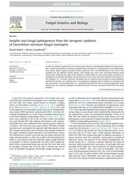 Insights Into Fungal Pathogenesis from the Iatrogenic Epidemic Of