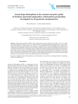 Sexual Shape Dimorphism in the Cranium and Pelvic Girdle of Northern Spectacled Salamanders, Salamandrina Perspicillata, Investigated Via 3D Geometric Morphometrics