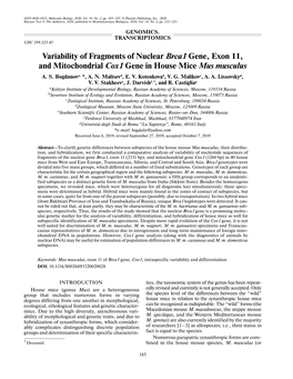 Variability of Fragments of Nuclear Brca1 Gene, Exon 11, and Mitochondrial Cox1 Gene in House Mice Mus Musculus A