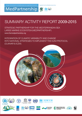 Summary Activity Report 2009-2015