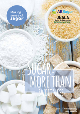 Download the Making Sense of Sugar Booklet