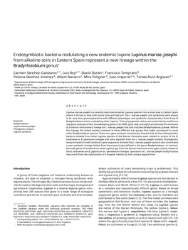 Endosymbiotic Bacteria Nodulating a New Endemic Lupine Lupinus