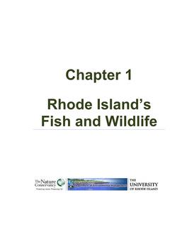 Rhode Island's Wildlife