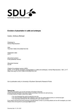 University of Southern Denmark Evolution of Placentation in Cattle