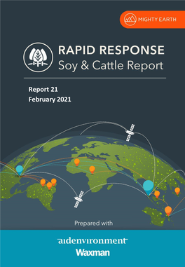 Soy and Cattle: Report 21