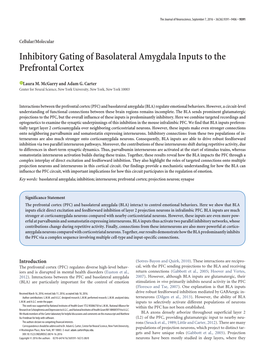 Inhibitory Gating of Basolateral Amygdala Inputs to the Prefrontal Cortex