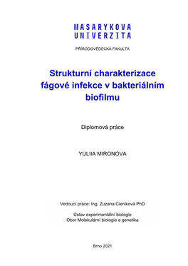 Strukturní Charakterizace Fágové Infekce V Bakteriálním Biofilmu