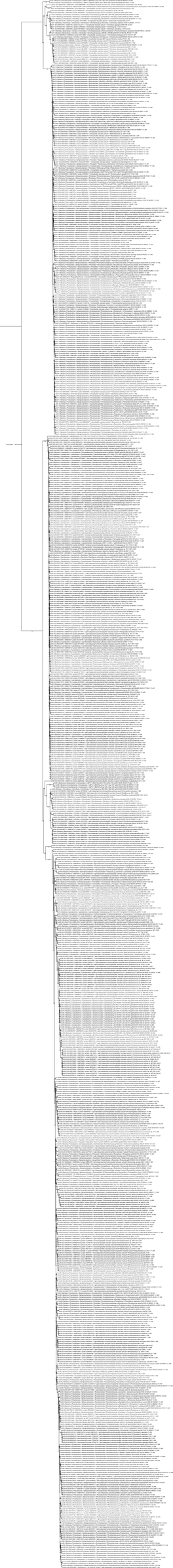 Bchn GCA 000020645.1 Asm2064v1 Protein ACF42657.1 Light-Independent Protochlorophyllide Reductase N Subunit Pelodictyon Phaeocl