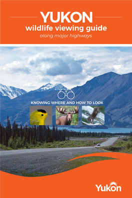Env-Yukon-Wildlife-Viewing-Guide 0