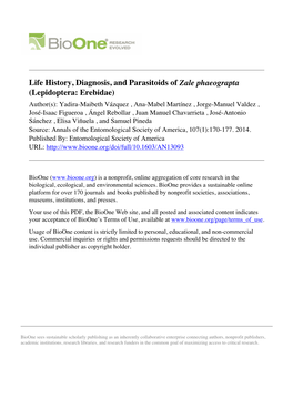 Life History, Diagnosis, and Parasitoids of Zale Phaeograpta