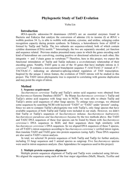 Phylogenetic Study of Tad3 Evolution