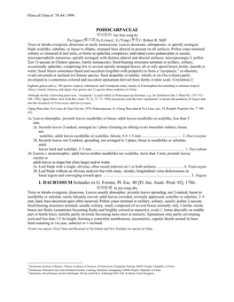 PODOCARPACEAE 1. DACRYDIUM Solander Ex G. Forster, Pl. Esc. 80 [Fl. Ins. Austr. Prod. 92]. 1786