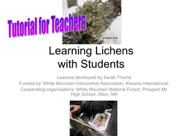 Learning Lichens with Students