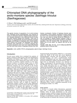 Chloroplast DNA Phylogeography of the Arctic-Montane Species Saxifraga Hirculus (Saxifragaceae)