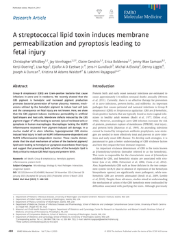 A Streptococcal Lipid Toxin Induces Membrane Permeabilization and Pyroptosis Leading to Fetal Injury