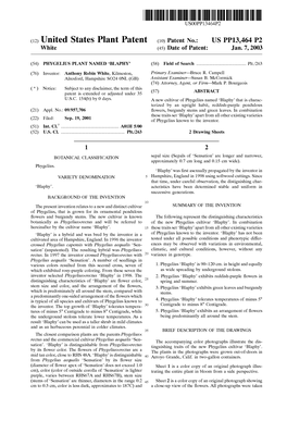 (12) United States Plant Patent (10) Patent No.: US PP13,464 P2 White (45) Date of Patent: Jan