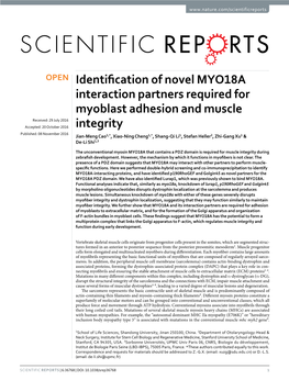 Identification of Novel MYO18A Interaction Partners Required For