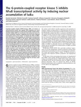 The G-Protein-Coupled Receptor Kinase 5 Inhibits NF B Transcriptional Activity by Inducing Nuclear Accumulation Of