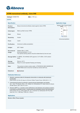 ATRN Monoclonal Antibody, Clone 9H8