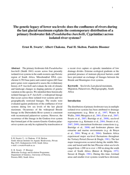 The Genetic Legacy of Lower Sea Levels