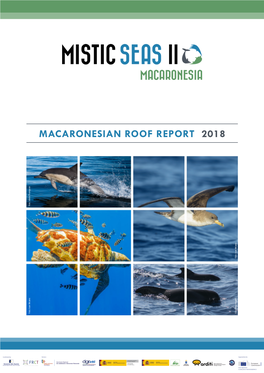 Macaronesian Roof Report 2018 2
