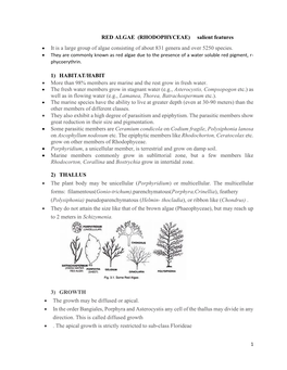 RED ALGAE (RHODOPHYCEAE) Salient Features • It Is a Large Group