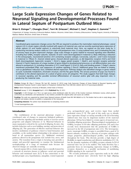 Large Scale Expression Changes of Genes Related to Neuronal Signaling and Developmental Processes Found in Lateral Septum of Postpartum Outbred Mice