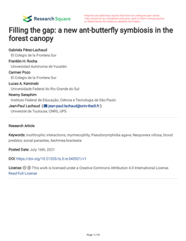 Filling the Gap: a New Ant-Butter Y Symbiosis in the Forest Canopy