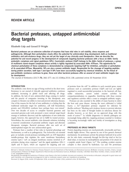 Bacterial Proteases, Untapped Antimicrobial Drug Targets