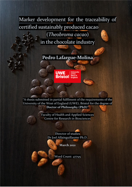 (Theobroma Cacao) in the Chocolate Industry