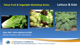 Lettuce Kale Presentation 2018