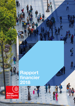 Rapport Financier 2018