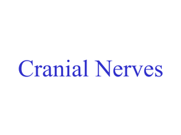 Spinal Nerves As Properioceptive to the Same Muscles