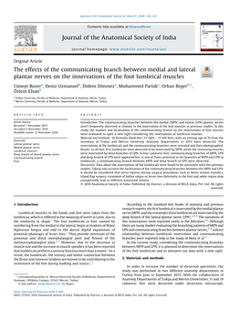 The Effects of the Communicating Branch Between Medial and Lateral