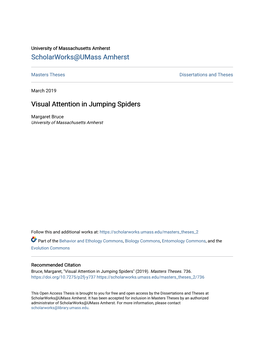 Visual Attention in Jumping Spiders