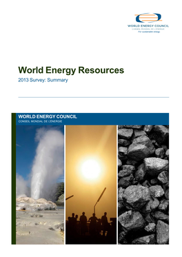 World Energy Resources 2013 Survey: Summary