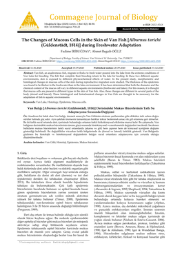 Commagene Journal of Biology İribuğday & Oğuz (2020) Comm