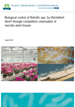 Biological Control of Botrytis Spp. by Ulocladium Atrum Through Competitive Colonisation of Necrotic Plant Tissues