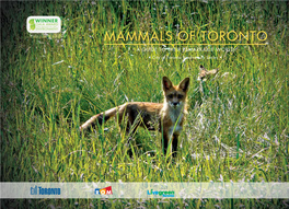 Mammals of Toronto