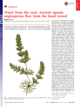 Ancient Aquatic Angiosperms Flow from the Fossil Record Donald H