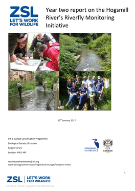 Year Two Report on the Hogsmill River's Riverfly Monitoring Initiative