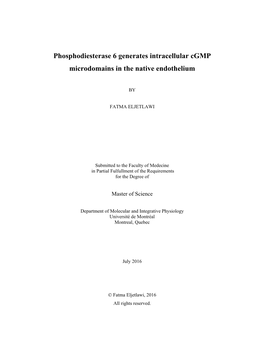 Phosphodiesterase 6 Generates Intracellular Cgmp Microdomains in the Native Endothelium