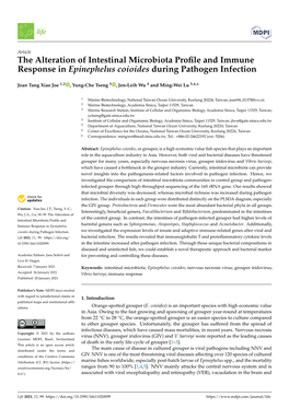 The Alteration of Intestinal Microbiota Profile and Immune Response In