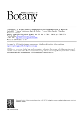 Development of Woody Branch Attachments in Schefflera (Araliaceae Or Apiaceae) Author(S): P