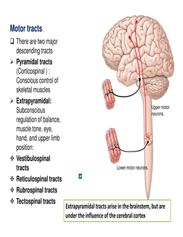 Motor Tracts