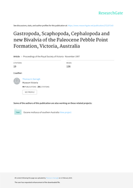 Gastropoda, Scaphopoda, Cephalopoda and New Bivalvia of the Paleocene Pebble Point Formation, Victoria, Australia