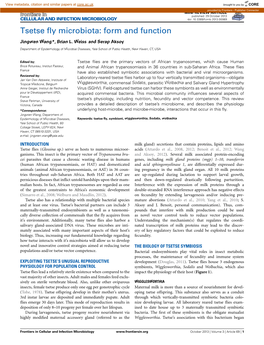 Tsetse Fly Microbiota