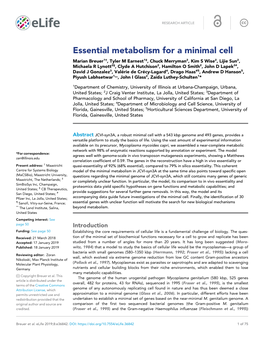 Essential Metabolism for a Minimal Cell